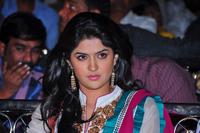 Deeksha Seth Photo Gallery